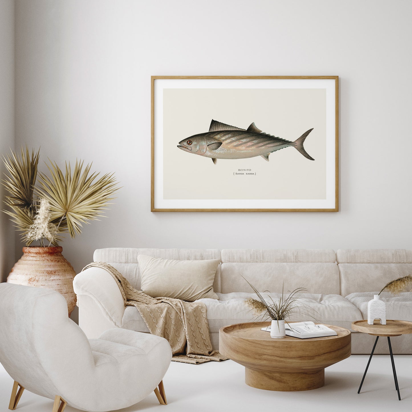 Tavla med en Ryggstrimmig pelamid poster – Plansch med fisk, fiskposter, fisktavla