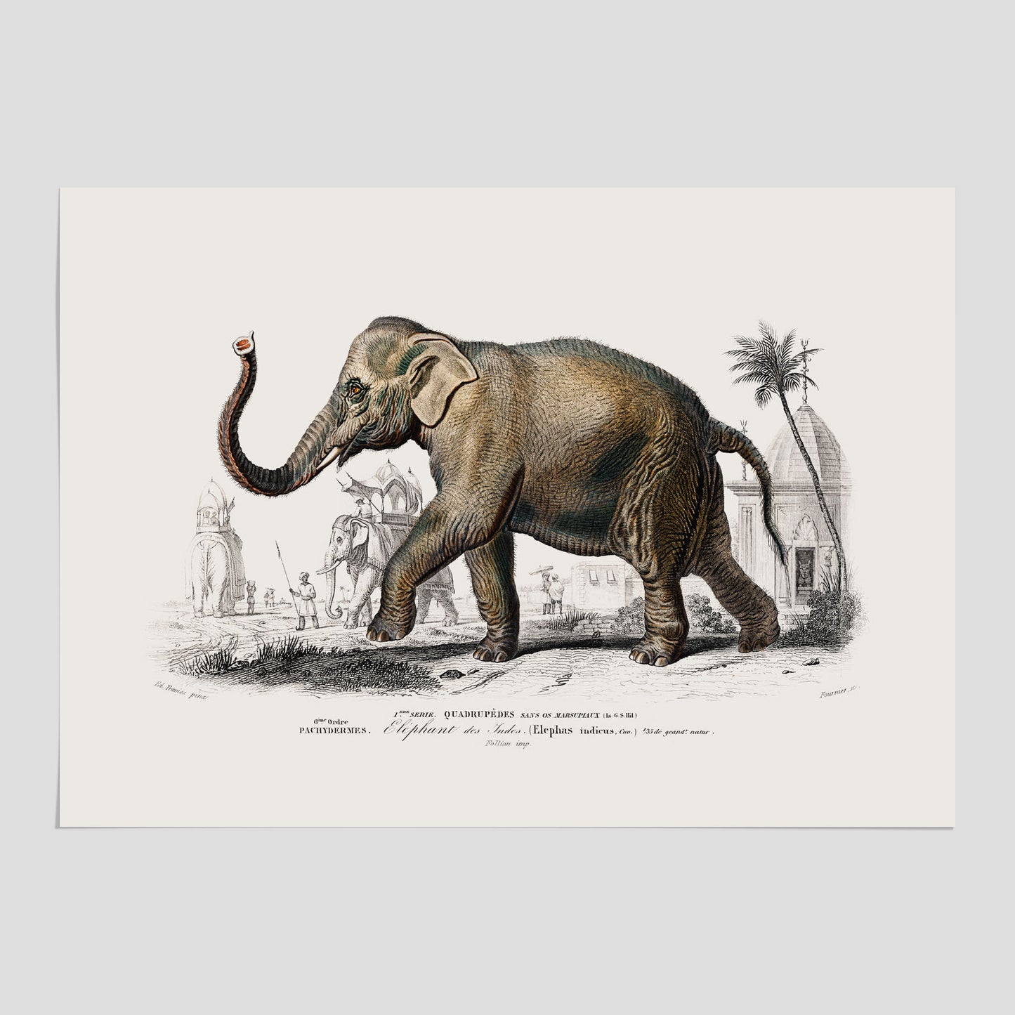 Historisk poster från 1837 som visar en illustration av en elefant