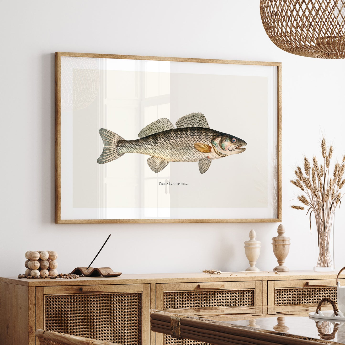 Tavla med Gös Poster – Plansch med fisk, skolposter