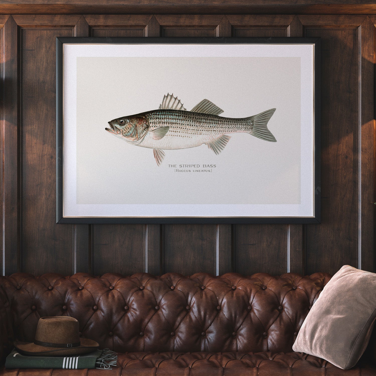 Strimmig Havsabborre poster – Plansch med fisk