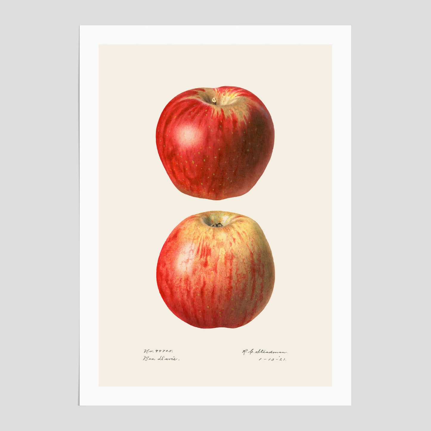 Äpple poster No.2  – Köksposter, tavla till kök med applen, kökstavla