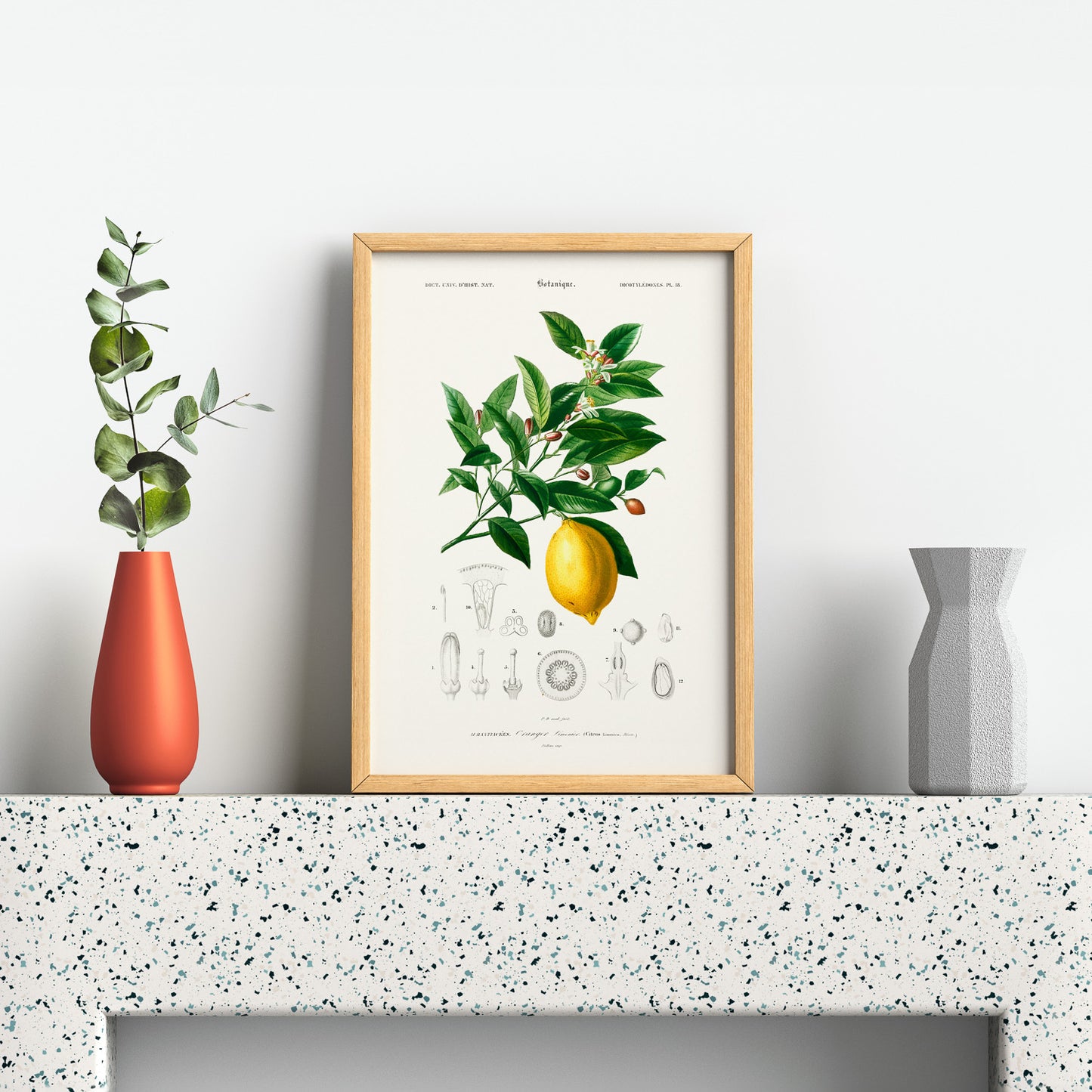 Citron poster – Plansch med frukt, fruktposter, citrontavla, tavla med citroner