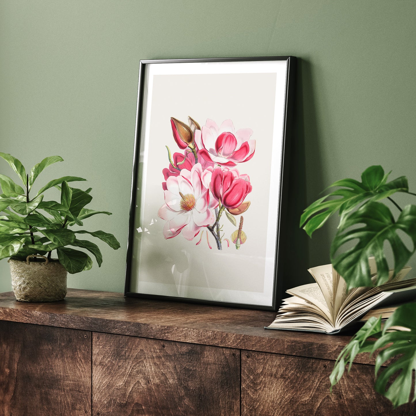 Magnolia Campbellii poster, botanisk vintage-tavla