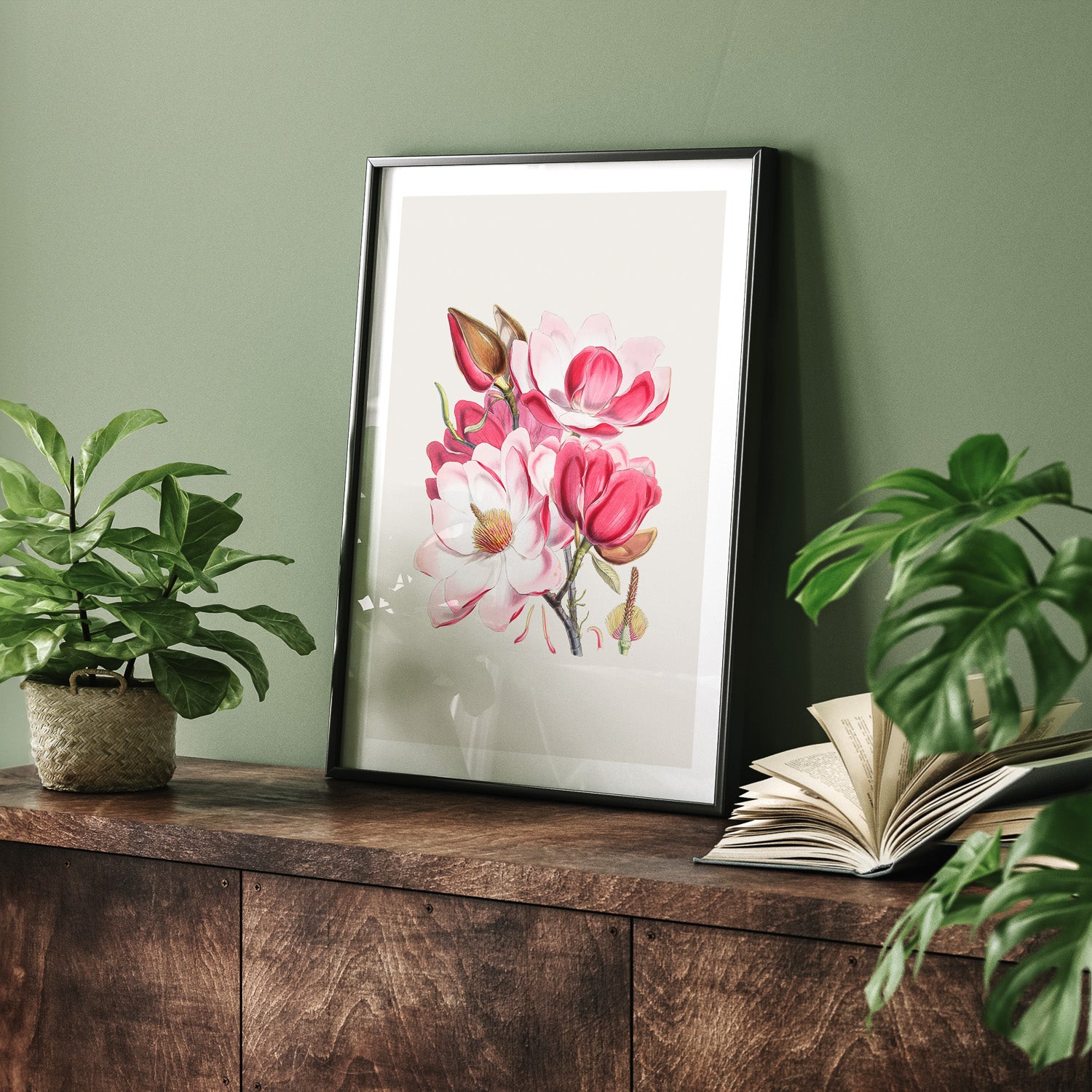 Magnolia Campbellii poster, botanisk vintage-tavla