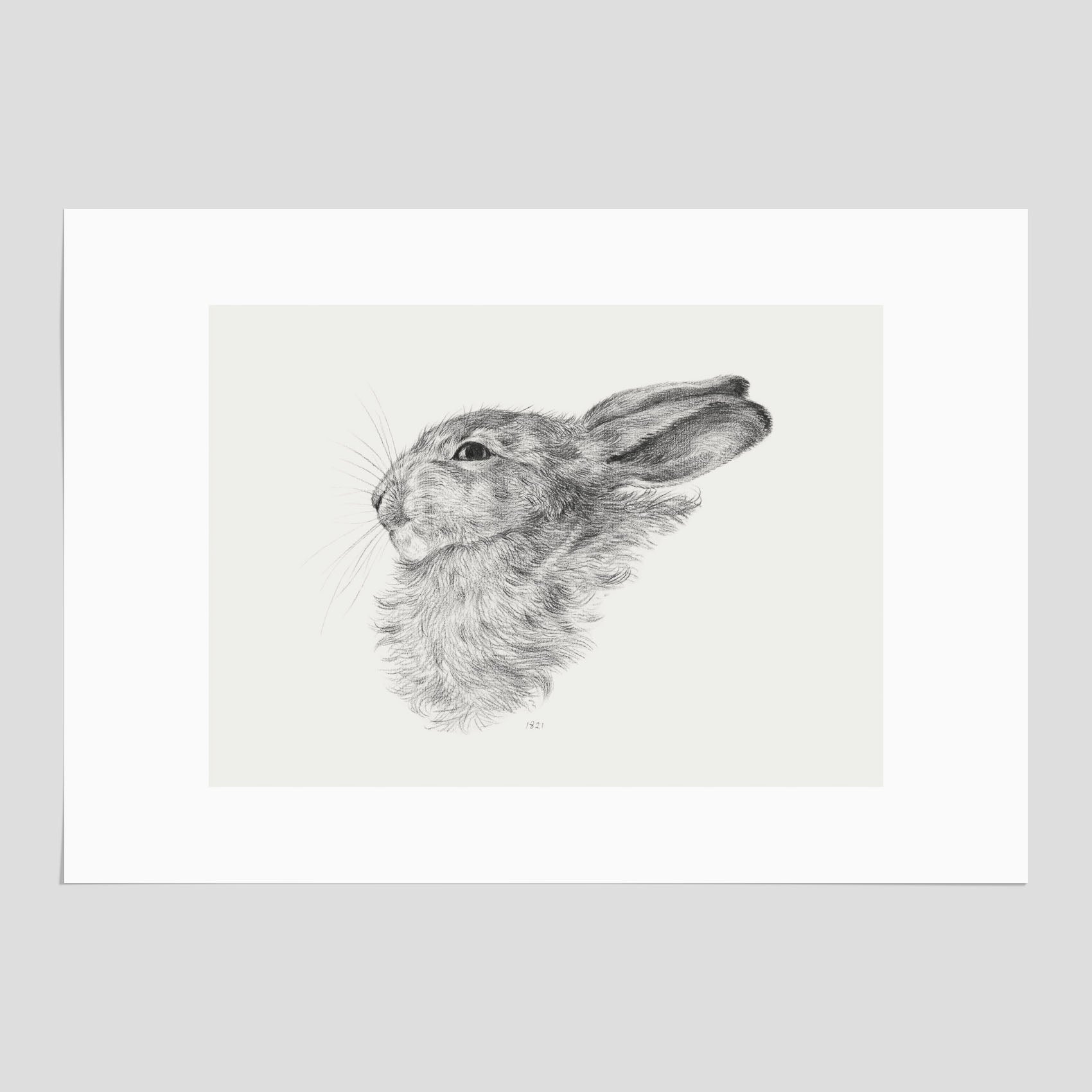 Vintageposter som föreställer en svartvit illustration av en kanin